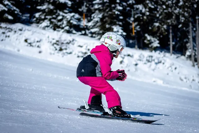 Masque de Ski Julbo VEGA J735 VEGA J735 12113