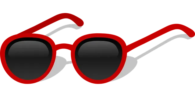 Lunettes de soleil marc jacobs mmj411s 5xmj6