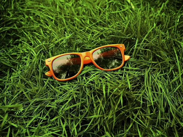 Lunettes de vue Alain Mikli