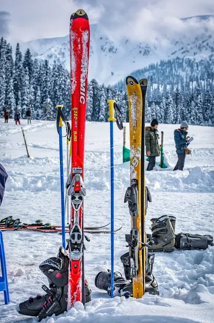 Masque de Ski Julbo PIONEER J731 PIONEER J731 12143