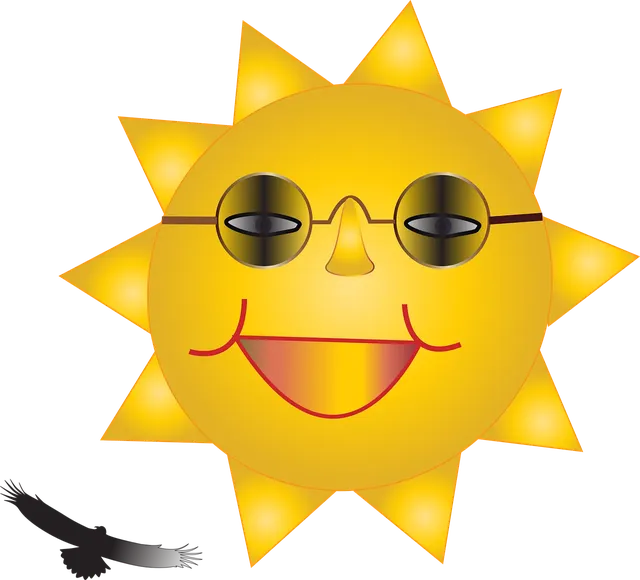 Lunettes de soleil MARC JACOBS MMJ453S MMJ453S B9NN6
