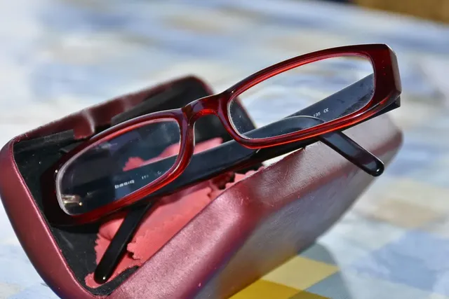 étui de Lunettes de vue LAPO LAAM011 C28 Lapö