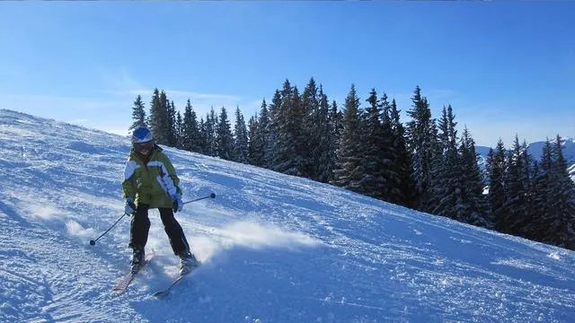 Masque de Ski Julbo Voyager J732 VOYAGER J732 12213