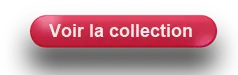 lunettes Rayban