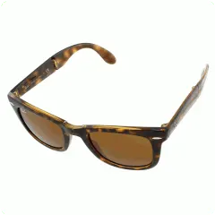 RB 4105 WAYFARER